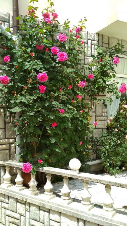 Mania Guest House كالوفر المظهر الخارجي الصورة